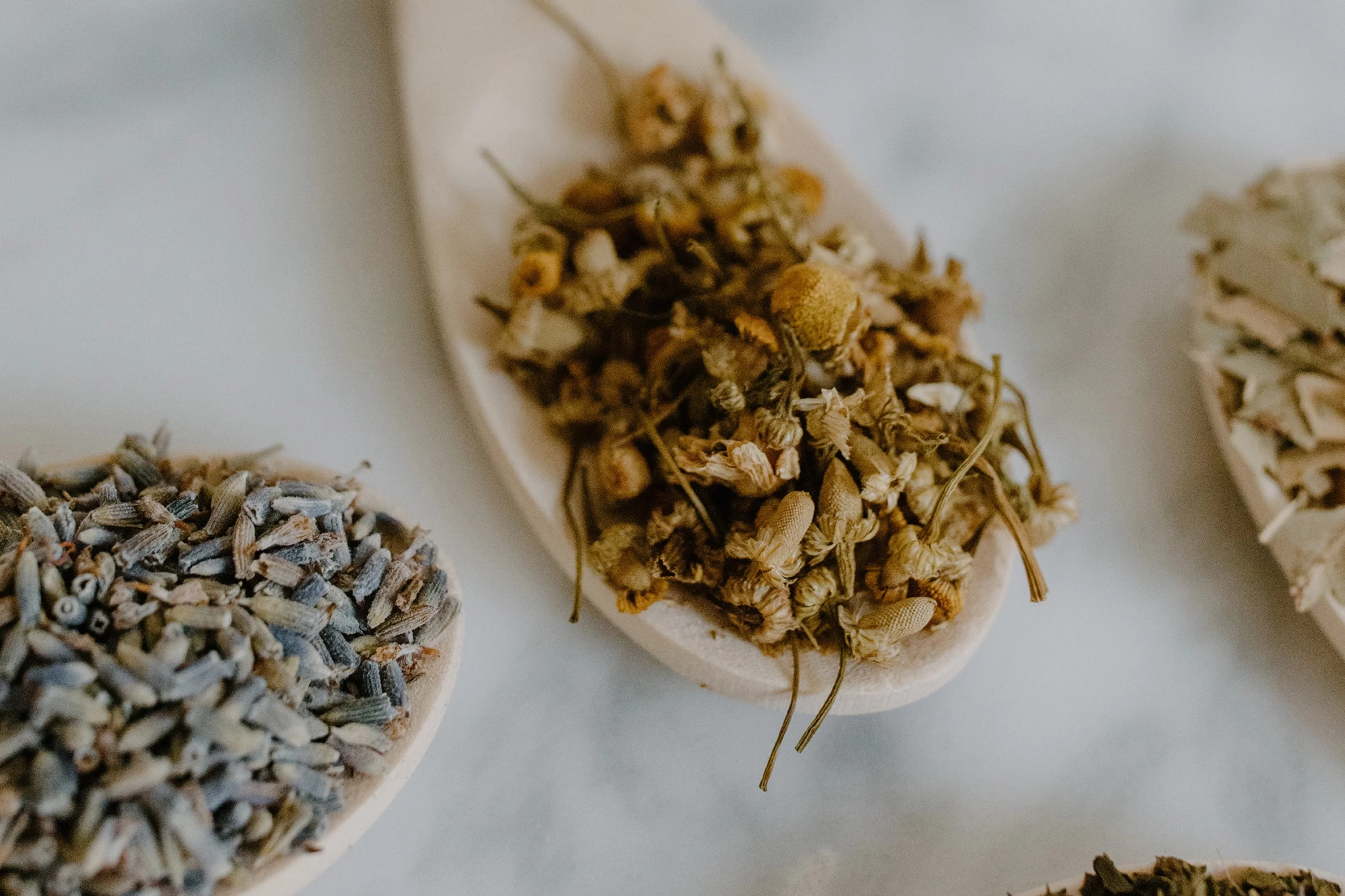 spoons of dried herbs